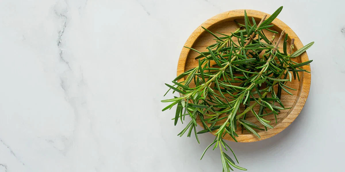 Rozmarín na vlasy